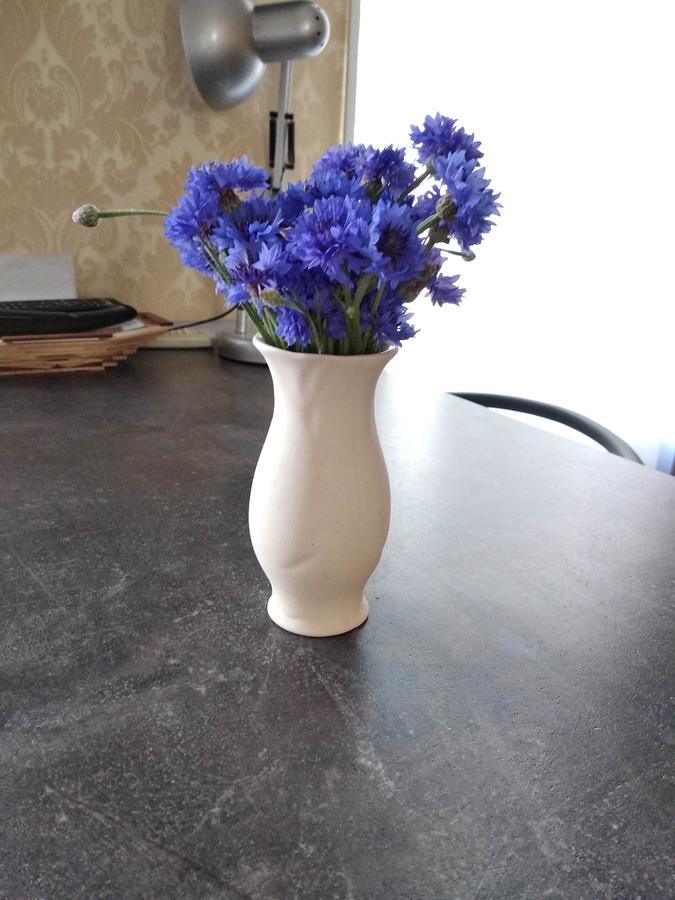 Gorsad Apartment Odessa Luaran gambar
